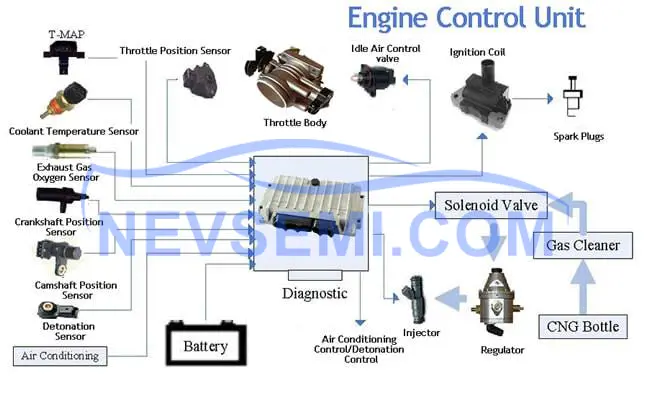 Powertrain Control Module (PCM)
